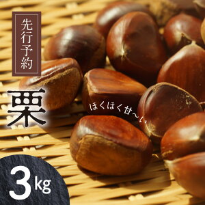 yӂ邳Ɣ[Łzs\ I 3kg Y Â I H { a {̌I H̖o I  َq aَq IƂ  XC[c } ʕ Hi ① Ⓚ ۑ {茧 s 