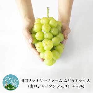 yӂ邳Ɣ[Łzct@~[t@[ Ԃǂ~bNXi˃WCAcj 4`8[  3kg ` 4kg
