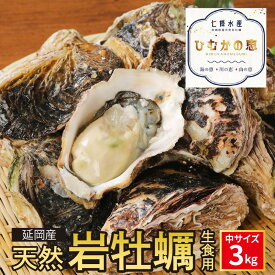 【ふるさと納税】【先行予約】2024年4月1日より発送開始 まろやか プリプリ食感 冷蔵便 延岡産 天然 岩牡蠣 中 サイズ 3kg 生食用 牡蠣 国産 七條水産 ひむかの恵 生牡蠣 殻付き クリーミー ミルキー ジューシー 魚介 殺菌処理 産地直送 お取り寄せグルメ 送料無料