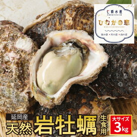 【ふるさと納税】【先行予約】2024年4月1日から発送開始 濃厚 肉厚食感 生食用 延岡産 天然 岩牡蠣 大 サイズ 3kg 牡蠣 冷蔵便 国産 七條水産 ひむかの恵 生牡蠣 殻付き 大粒 クリーミー ミルキー ジューシー 栄養豊富 海のミルク 海の幸 海産物 殺菌処理 産地直送 送料無料