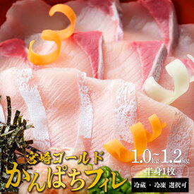 【ふるさと納税】宮崎産 新海屋 鰤屋金太郎 みやざきゴールド かんぱち フィレ 1.0kg〜1.2kg半身1枚 刺身 冷蔵 ・ 冷凍 選択可 お取り寄せ グルメ 宮崎県 延岡市 送料無料