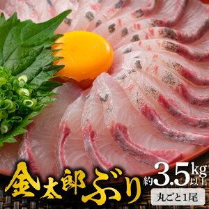 �y�ӂ邳�Ɣ[�Łz�{��Y �V�C�� �܉������Y �����Y�Ԃ� �ۂ��� 1�� ��3.5kg�ȏ�