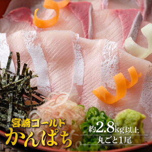 �y�ӂ邳�Ɣ[�Łz�h�g �� ����ς� �ۂ��� 1�� �� 2.8kg �ȏ� �V�C�� �܉������Y �݂₴���S�[���h �G�� ���� �����ς� �{��S�[���h�J���p�` �V�N �N�x���Q �Ղ�Ղ� �R���R�� �����ߒE�� �� 