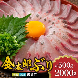yӂ邳Ɣ[Łz{Y Y Ԃ Iׂ e 500g ` 2kg z@ ① Ⓚ VC ܉Y XLXC ς [ 킢 ՂՂ Y ^pbN  hg  Ƃ