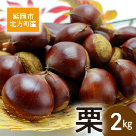 【ふるさと納税】先行予約 北方町産 栗 2kg 2026年8月下旬より発送開始 素材の味 大きい 秋の味覚 栗ご飯 おこわ 焼き栗 栗きんとん 渋皮煮 スイーツ 甘露煮 果物 冷蔵 宮崎県 延岡市 お取り寄せ お取り寄せグルメ 送料無料