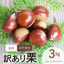 【ふるさと納税】2026年8月下旬より発送開始 訳あり 栗 3kg 1kg×3 ネット入り 国産 送料無料