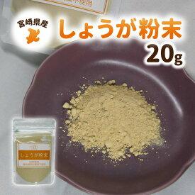 【ふるさと納税】宮崎県産 しょうが粉末 20g 自家栽培 栽培期間中農薬不使用 体を温める効果 免疫力 普段の料理にかかせない しょうが焼き 魚料理 ぎょうざ 紅茶 料理 便利 しょうが 粉末 国産 宮崎県 延岡市 お取り寄せ 送料無料