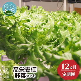 【ふるさと納税】延岡産 高栄養価野菜 セット 12回 定期便