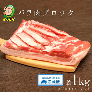 yӂ邳Ɣ[Łzߘǎ SALLB ؓ  1kg o ubN Y  p Mtg uߕ Ƃ gʒ{Y EM RېYsgp Â W[V[ ① 񂹃O 