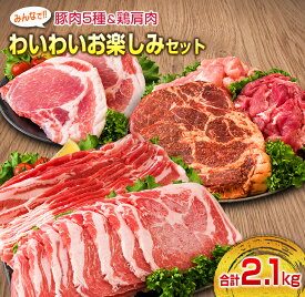 【ふるさと納税】豚肉 5種 鶏肉 肩肉 みんなでわいわい お楽しみ セット 合計2.1kg ポーク チキン 国産 食品 おかず お弁当 おつまみ 加工品 豚バラ スライス 切落し みそ漬け トンテキ 生姜焼き 万能食材 簡単調理 詰め合わせ 焼肉 お取り寄せ 宮崎県 日南市 送料無料
