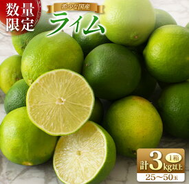 【ふるさと納税】先行予約 皮まで使える ライム 計3kg以上 希少 国産ライム 果物 くだもの フルーツ 柑橘 期間限定 数量限定 おすすめ 塩ライム ジュース 飲み物 サラダ 調味料 焼肉 バーベキュー BBQ デザート おすそ分け 産地直送 食品 お土産 宮崎県 日南市 送料無料