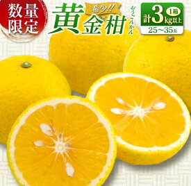 【ふるさと納税】先行予約 新感覚シトラス 黄金柑 おうごんかん 計3kg以上 令和8年発送 期間限定 数量限定 希少 果物 くだもの フルーツ 国産 食品 柑橘 みかん 蜜柑 ゴールデンオレンジ デザート おやつ おすすめ おすそ分け 手土産 ギフト 贈り物 宮崎県 日南市 送料無料