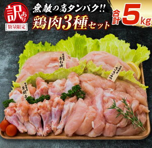 yӂ邳Ɣ[Łzyr[Ly[ʁXz󂠂 ʌ { 3 ނ˓ H  Zbg v5kg  Y  Hi lߍ킹 wV[ ٓ lC  ܂ 