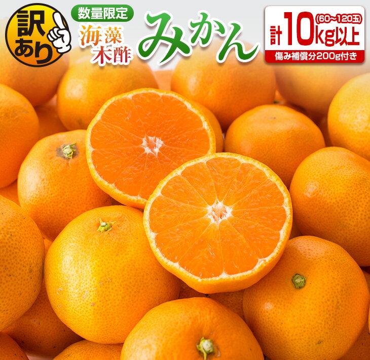 海藻木酢みかん計10kg以上傷み補償分