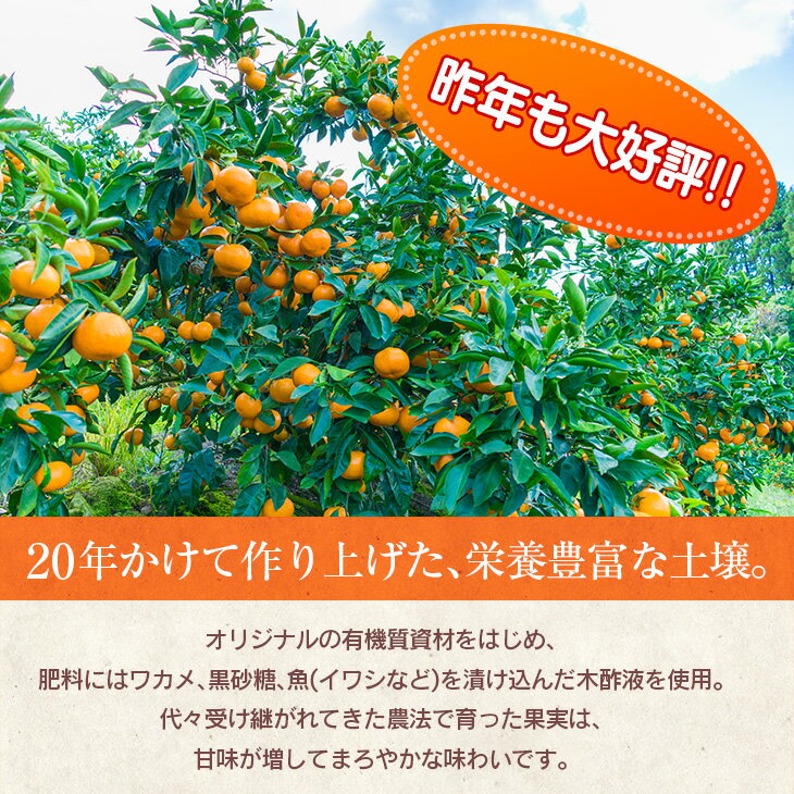 海藻木酢みかん計10kg以上傷み補償分 2枚目