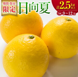 �y�ӂ邳�Ɣ[�Łz���N��D�]!!�{����\����t���[�c ������ �v2.5kg�ȏ� ���ϔ����� ���Ԍ��� ���ʌ��� ��s�\�� 2026 �ߘa8�N���� �ʕ� �������� ���k �݂��� �݂���W���[�X �f�U�[�g ���Y 