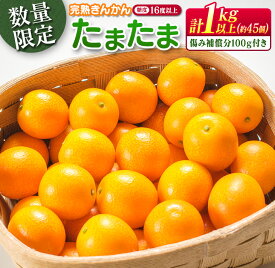 【ふるさと納税】糖度16度以上 数量限定 完熟 きんかん たまたま 計1kg以上 傷み補償分入り 宮崎 期間限定 フルーツ 果物 くだもの ブランド 金柑 柑橘 令和8年発送 化粧箱入り 国産 食品 人気 おすすめ ギフト 贈り物 贈答 ご褒美 お祝い おすそ分け 日南市 送料無料