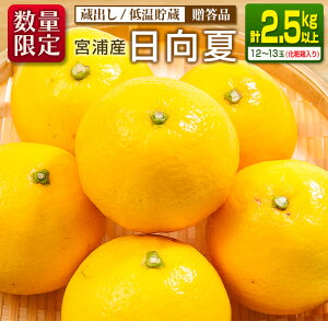 yӂ邳Ɣ[Łzs\ {YY o  v2.5kgȏ ϔ Ԍ ʌ t[c ʕ  k ݂ ߘa8N Y Yn VN Hi W[X fU[g 