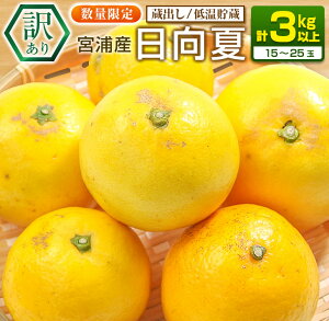 yӂ邳Ɣ[Łzs\ 󂠂 {YY o  v3kgȏ Ԍ ʌ t[c ʕ  k ݂ ߘa8N Y Yn VN Hi W[X fU[g t[c