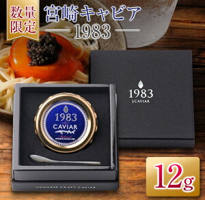 yӂ邳Ɣ[Łzʌ {LrA1983 12g   L Y EO咿 _C ґ H ㎿ J j LO Hi Hi yY  ϔ Mtg v[