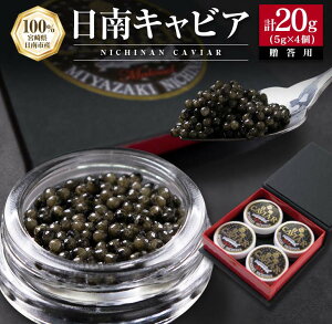 yӂ邳Ɣ[ŁzCAVIAR LrA 5g 4 v20g   Y Hi Hi H ґ O咿 _C ܂ J LO j p[eB[ I[hu  Mtg 蕨