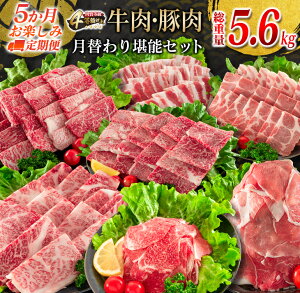 yӂ邳Ɣ[ŁzIׂz 5 ւŊ\!!  ؓ ē Zbg ؃o [X  Ef d5.6kg Y Hi  BBQ o[xL[  {苍 јa Ԑ