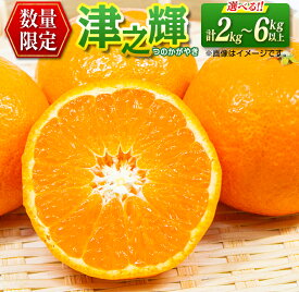 【ふるさと納税】≪内容量が選べる≫ 先行予約 津之輝 つのかがやき 希少 期間限定 数量限定 フルーツ 果物 くだもの 柑橘 みかん 令和8年発送 国産 食品 おすすめ デザート おやつ みかんジュース フルーツサンド ギフト 贈り物 贈答 おすそ分け 宮崎県 日南市 送料無料