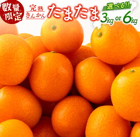 【ふるさと納税】≪内容量が選べる≫ 先行予約 完熟きんかん たまたま 3kg箱入り 希少 期間限定 数量限定 フルーツ 果物 くだもの 柑橘 金柑 国産 食品 大粒 宮崎ブランド おすすめ デザート おやつ ギフト 贈り物 贈答 お返し お祝い おすそ分け 産地直送 日南市 送料無料