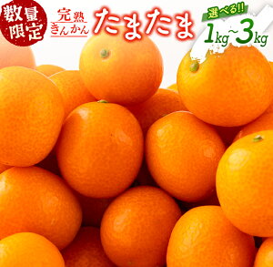yӂ邳Ɣ[ŁzeʂIׂ s\ n񂩂 ܂ 1kg  Ԍ ʌ t[c ʕ  k  Y Hi 嗱 {uh  fU[g 