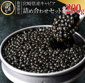 yӂ邳Ɣ[Łz󂠂 ʌ 5ze̗p {茧Y LrA lߍ킹 Zbg v200g   L Y n VN   Hi O咿 _C  Y 