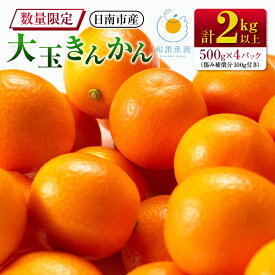 【ふるさと納税】食べ応え抜群 大玉 きんかん 計2kg以上 傷み補償分付き 数量限定 期間限定 フルーツ 果物 くだもの 柑橘 金柑 先行予約 国産 希少 人気 おすすめ ジャム おやつ デザート 小分け おすそ分け 贈り物 ギフト 贈答 ご褒美 産地直送 宮崎県 日南市 送料無料