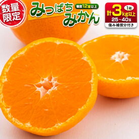 【ふるさと納税】先行予約 みつばちみかん 計3kg以上 傷み補償分付き 期間限定 数量限定 果物 くだもの フルーツ 蜜柑 ミカン 柑橘 オレンジ おやつ デザート みかんジュース 飲み物 小ぶり おすすめ おすそ分け 国産 食品 産地直送 贈り物 お土産 宮崎県 日南市 送料無料