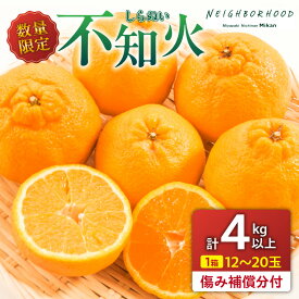 【ふるさと納税】先行予約 不知火 計4kg以上 傷み補償分入り 期間限定 数量限定 フルーツ 果物 くだもの 柑橘 みかん しらぬい 令和8年発送 おやつ デザート ジュース 国産 食品 おすすめ ご褒美 産地直送 プレゼント ギフト 贈り物 ネイバーフッド 宮崎県 日南市 送料無料