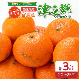 【ふるさと納税】訳あり 津之輝 計3kg以上 先行予約 令和8年発送 期間限定 数量限定 国産 食品 果物 くだもの フルーツ 柑橘 みかん 不揃い S M L 混合 傷 わけあり デザート おやつ ジュース 家