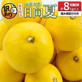 【ふるさと納税】先行予約 訳あり 海藻木酢 日向夏 小夏 計8kg以上 傷み補償分入り 期間限定 数量限定 フルーツ 果物 くだもの 柑橘 みかん 訳アリ 国産 食品 デザート おやつ おすそ分け おすすめ ご家庭用 ご自宅用 B品 傷 マーマレード 産地直送 宮崎県 日南市 送料無料