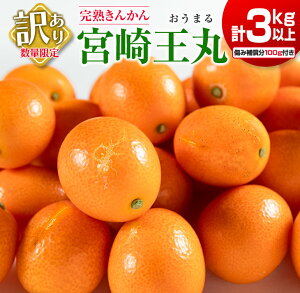 yӂ邳Ɣ[Łzs\ 󂠂 n 񂩂 {艤 v3kgȏ ݕ⏞t ʌ Ԍ t[c ʕ  k  A   ƒp p 