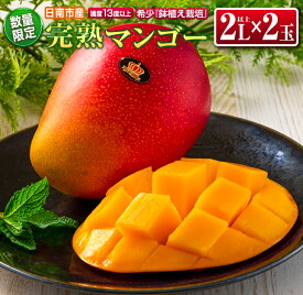 【ふるさと納税】数量限定 希少 完熟マンゴー 鉢植え栽培 2L以上 × 2玉 フルーツ 果物 くだもの 期間限定 国産 食品 高糖度 濃厚 贅沢 上質 人気 おすすめ デザート おやつ ご褒美 お取り寄せ グルメ 贈り物 プレゼント ギフト お土産 お祝 宮崎県 日南市 産地直送 送料無料