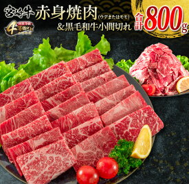 【ふるさと納税】宮崎牛 赤身 焼肉 黒毛和牛 小間切れ セット 合計800g 牛肉 ビーフ 国産 うで もも ブランド牛 人気 おすすめ 万能食材 食品 お取り寄せ グルメ 詰め合わせ 贅沢 ご褒美 お祝い 記念日 おかず 弁当 おつまみ BBQ 鉄板焼き おすそ分け 宮崎県 日南市 送料無料