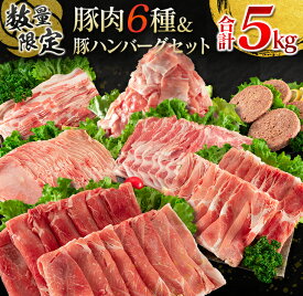 【ふるさと納税】数量限定 豚肉 6種 豚ハンバーグ セット 合計5kg ポーク 国産 ミヤチク スライス 小間切れ 豚ウデ 豚モモ 豚バラ 豚ロース 万能食材 大容量 小分け おかず お弁当 おつまみ 食品 生姜焼き 炒め物 ご褒美 お祝い 記念日 お取り寄せ 詰め合わせ 送料無料