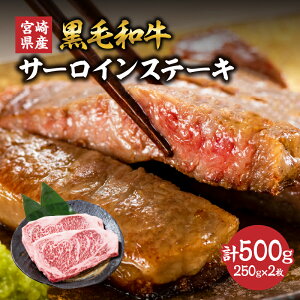 yӂ邳Ɣ[Łz{茧Y јa T[CXe[L v500g(250g×2)   r[t Y Xe[L  Hi BBQ o[xL[ ē SĂ  lC   ^pb
