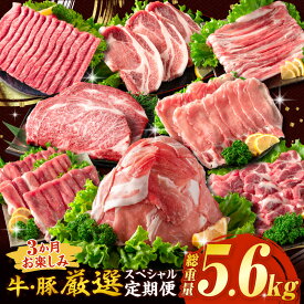 【ふるさと納税】3か月 お楽しみ 牛 豚 厳選 スペシャル 定期便 総重量5.6kg 肉 牛肉 宮崎牛 肩ウデ ロースステーキ 豚肉 6種 盛り合わせ セット 豚ロース 豚バラ 小間切れ すき焼き しゃぶしゃぶ 黒毛和牛 A4 A5 国産 食品 牛丼 薄切り おすすめ 宮崎県産 日南市 送料無料