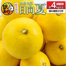 【ふるさと納税】先行予約 訳あり 海藻木酢 日向夏 小夏 計4kg以上 傷み補償分付き 期間限定 数量限定 フルーツ 果物 くだもの 柑橘 みかん 訳アリ 国産 食品 デザート おやつ おすそ分け おすすめ ご家庭用 ご自宅用 B品 傷 マーマレード 産地直送 宮崎県 日南市 送料無料