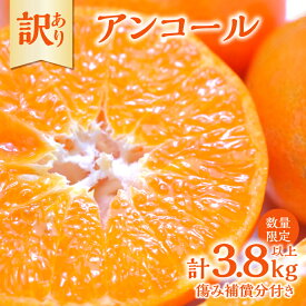 【ふるさと納税】先行予約 訳あり アンコール 計3.8kg以上 傷み補償分付き 令和8年発送 期間限定 数量限定 フルーツ 果物 くだもの みかん オレンジ ジュース 柑橘 国産 食品 不揃い 傷 規格外 訳アリ 家庭用 おすそ分け おすすめ デザート おやつ 宮崎県 日南市 送料無料