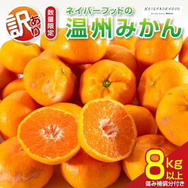 【ふるさと納税】訳あり ネイバーフッド 温州みかん 計8kg以上 傷み補償分付き 期間限定 数量限定 フルーツ 果物 くだもの ミカン 柑橘 オレンジ 人気 国産 食品 デザート おやつ おすすめ 産地直送 ご家庭用 おすそ分け 特産品 宮崎県 日南市 送料無料