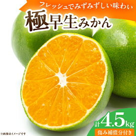 【ふるさと納税】極早生みかん 計4.5kg 傷み補償分付き 期間限定 果物 くだもの フルーツ 蜜柑 ミカン 柑橘 オレンジ おやつ デザート みかんジュース 飲み物 小さい ビタミン補給 おすすめ おすそ分け 国産 食品 産地直送 ギフト 贈り物 お土産 宮崎県 日南市 送料無料