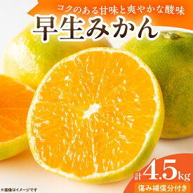 【ふるさと納税】早生みかん 計4.5kg 傷み補償分付き 期間限定 果物 くだもの フルーツ 蜜柑 ミカン 柑橘 オレンジ おやつ デザート みかんジュース 飲み物 ビタミン補給 おすすめ おすそ分け 国産 食品 産地直送 お祝い お返し ギフト 贈り物 お土産 宮崎県 日南市 送料無料