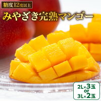 南国宮崎のあま～いマンゴー!! 自分へのご褒美や贈り物に♪ ふるさと納税 ...