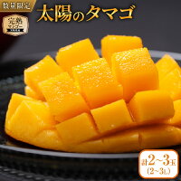 厳選な基準をクリアしたブランドマンゴー!! 贈り物にもおすすめ♪ ふるさと...