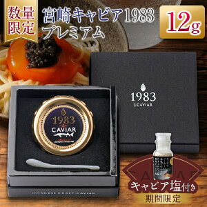 yӂ邳Ɣ[Łzʌ {LrA1983 v~A 12g Ԍ LrAt   L Y Hi Hi O咿 _C 嗱 ō ґ i  Mtg v[
