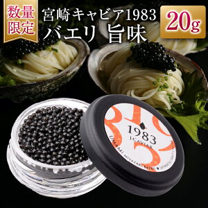 yӂ邳Ɣ[Łzʌ {LrA1983 oG | 20g   LrA Y Hi Hi  ґ O咿 _C ܂ J LO j p[eB[ I[hu Mt